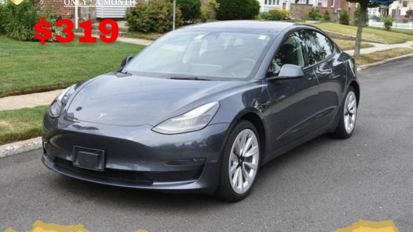 TESLA MODEL 3 2023 5YJ3E1EA0PF457327 image